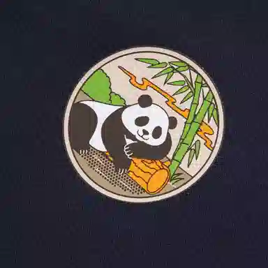 adidas Sportswear FW24 CREW TRACKSUIT