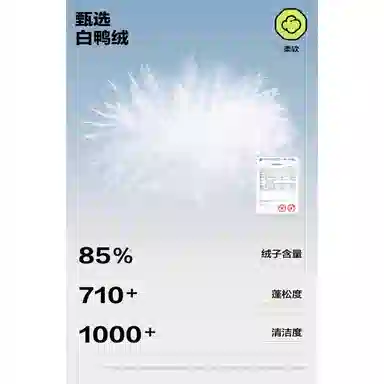 Asics Hooded Down Jacket