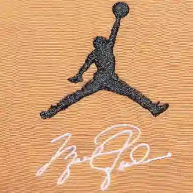 Jordan Embroidered Logo Jacket Brown