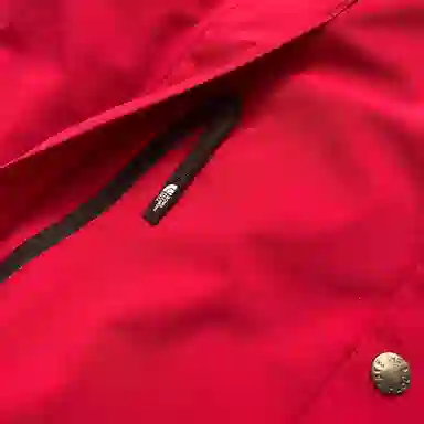The North Face 1990 Series Logo Print Hooded Jacket Red