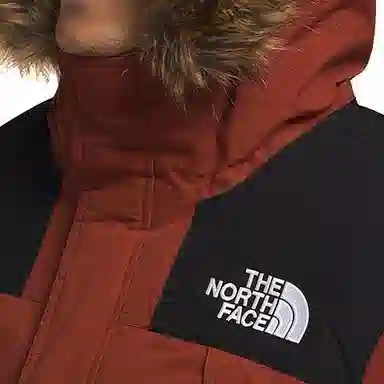 THE NORTH FACE Logo