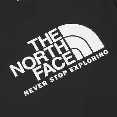THE NORTH FACE Cotton big logo ex ss SS22 LogoT