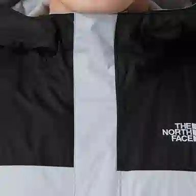 THE NORTH FACE