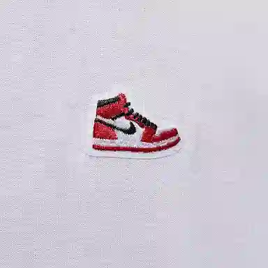Jordan BRANDAJ1 T