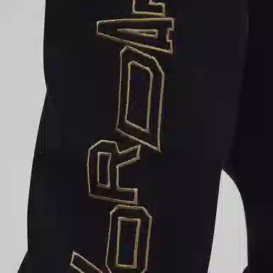Jordan Take Flight Fleece Pants Black Gold