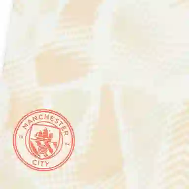 PUMA Manchester City Player Issue GK Third Shorts 2024-25