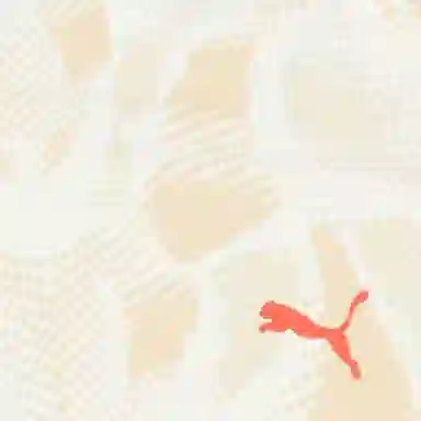 PUMA Manchester City Player Issue GK Third Shorts 2024-25