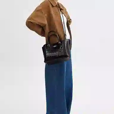 Coach Mollie Tote 25