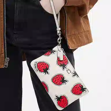 COACH Wristlet 19