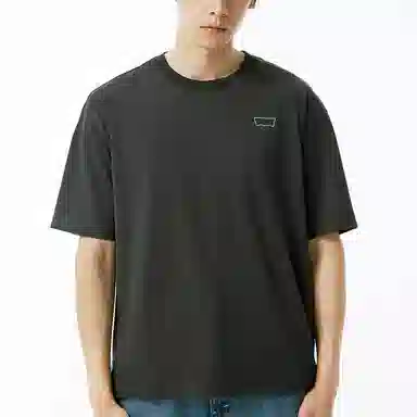 levis T