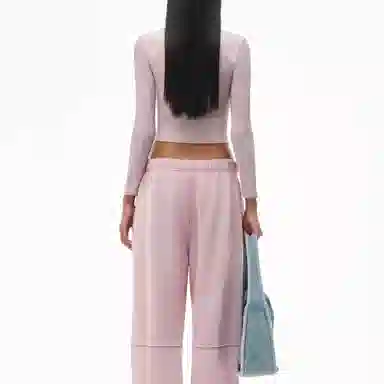alexander wang V