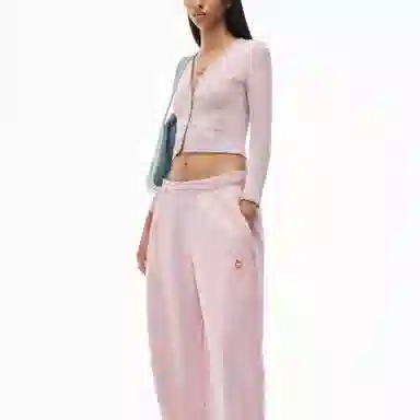 alexander wang V