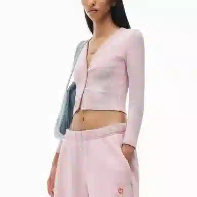 alexander wang V