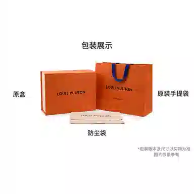 Louis Vuitton Monogram Shadow