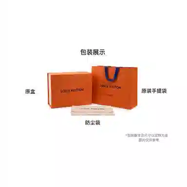 LOUIS VUITTON Colored Monogram