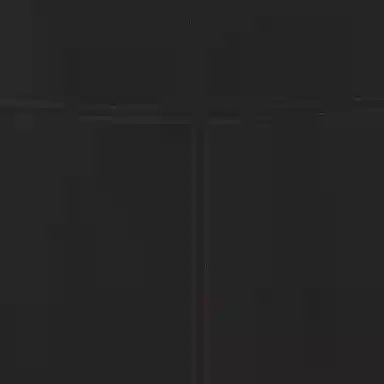 Burberry Skirt Black