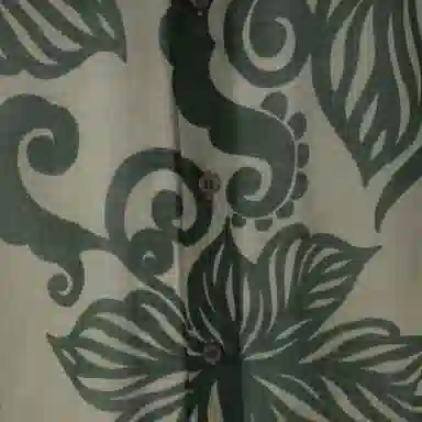 Dries Van Noten SS23 Floral Short Sleeve Shirt