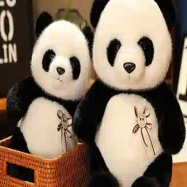 30cm40cm50cm60cm70cm