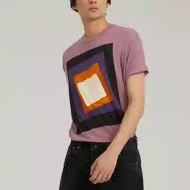 levis T
