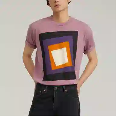 levis T