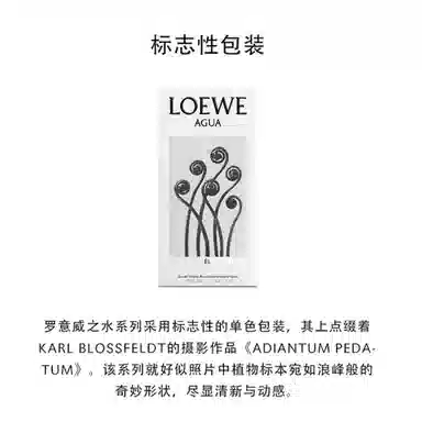 LOEWE EDT 50ml3
