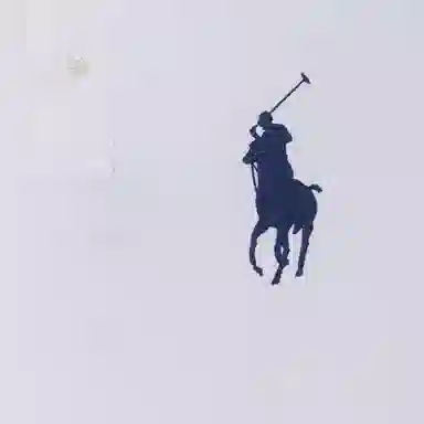 Polo Ralph Lauren Polo Shirt White