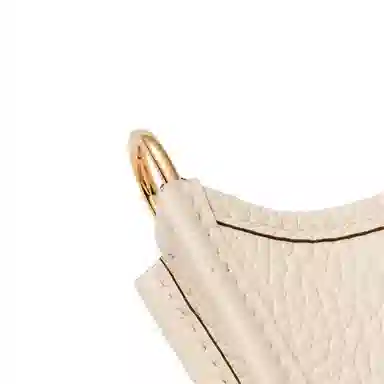 Hermes Evelyne 16 Nata