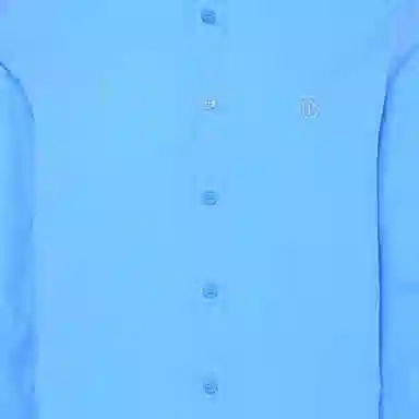 Burberry Logo