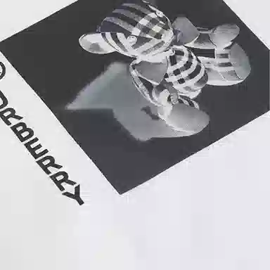 Burberry SS21 T