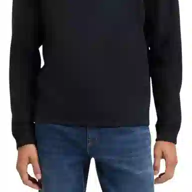 HUGO BOSS FW25 VPolo