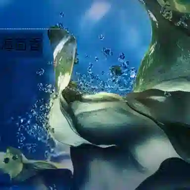 60ml