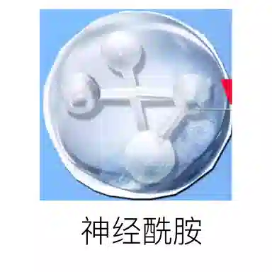 50ml125ml
