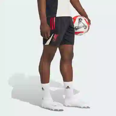 adidas Tiro 25 Liverpool FC