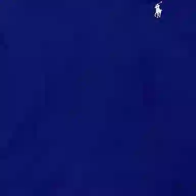 Polo Ralph Lauren V T