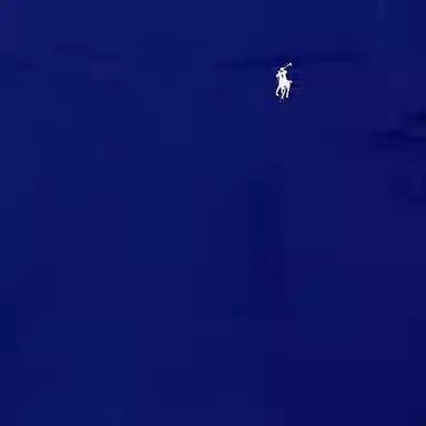 Polo Ralph Lauren V T