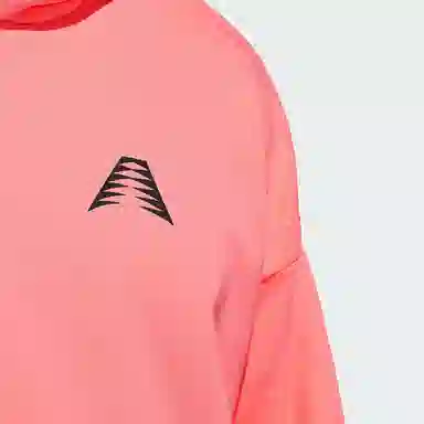 adidas originals Ae Foundation Hoodie
