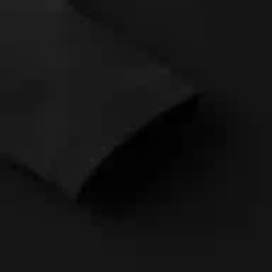 THE NORTH FACE logoT