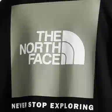 THE NORTH FACE logoT