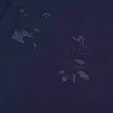 adidas originals Logo