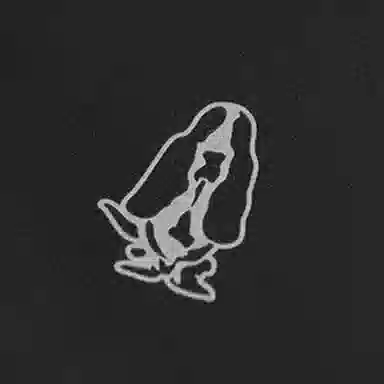 Hush Puppies PROTECTION