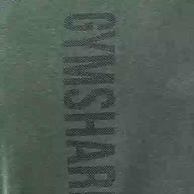 GYMSHARK Lightweight Seamless T-Shirt T