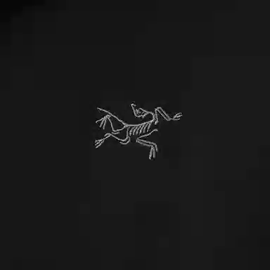 Arcteryx Logo Breathable Hoodie Jacket Men