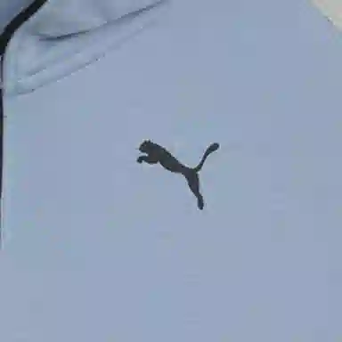 PUMA PUMATECH FZ Hoodie