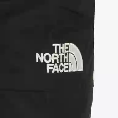 THE NORTH FACE 1994 Gtx Mountain Logo