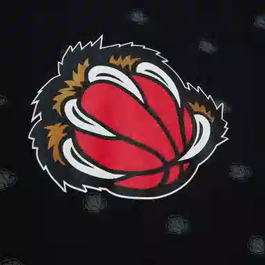 Mitchell & Ness Vancouver Grizzlies Hoodie