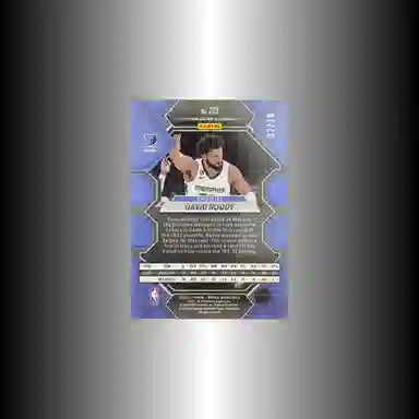 PANINI 2022-23 RC 0210