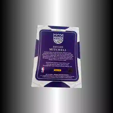 PANINI 21-22 RPA Patch Rc