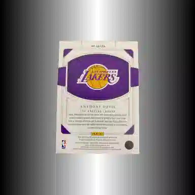 PANINI 2022-23 1325 PATCH