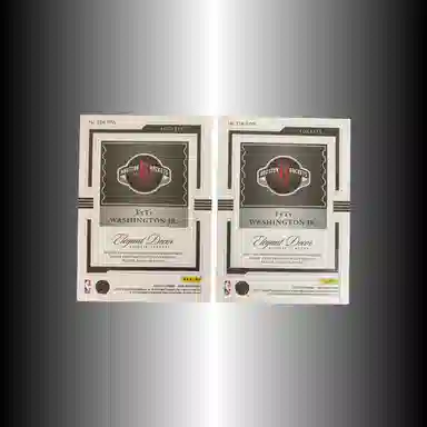 PANINI 2022-23 Noir patch 0249+2549