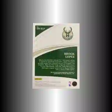 PANINI 2020-21 patch 0125